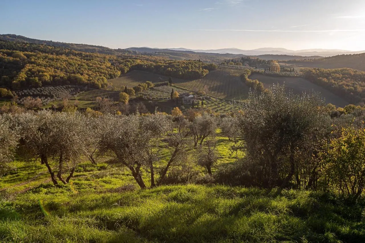 Old Medieval Apartment San Donato in Poggio